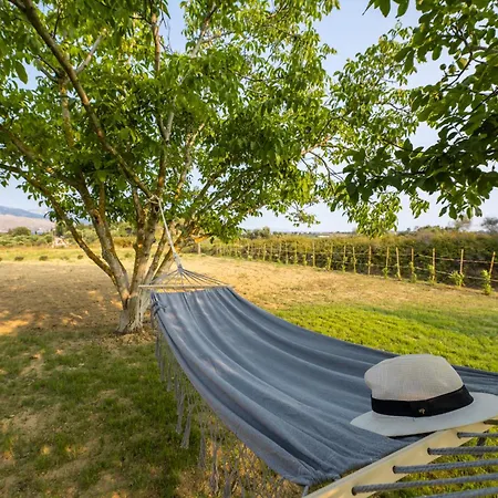 Agapanthus Retreat Willa