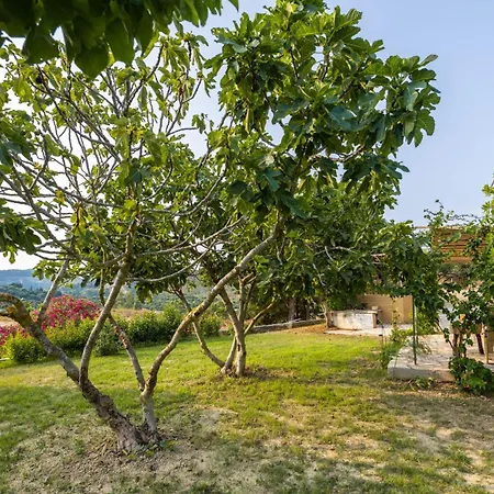 Villa Agapanthus Retreat Kouvalata